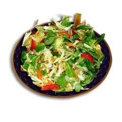 Salata-Special Salata-Special